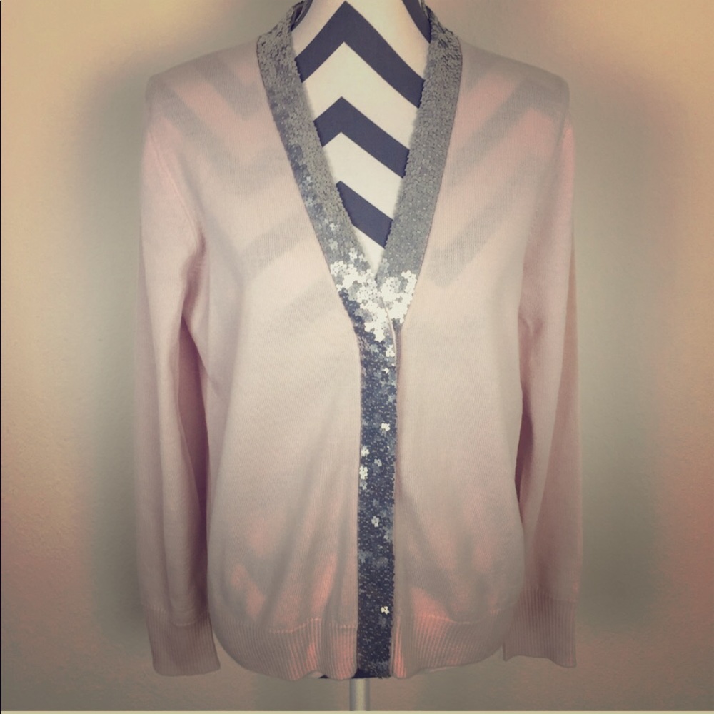 J.Crew Merino Wool Blush and Sequin Sweater